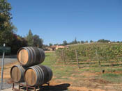Winery Property